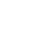 15 Shorts